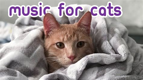 Cat relaxation music - CALMING MUSIC FOR CATS · Playlist · 305 songs · 9.7K likes. CALMING MUSIC FOR CATS · Playlist · 305 songs · 9.7K likes. CALMING MUSIC FOR CATS · Playlist · 305 songs · 9.7K likes. CALMING MUSIC FOR CATS · Playlist · 305 songs · 9.7K likes. Home; Search; Your Library. Create your first playlist It's easy, we'll help you. Create playlist. …